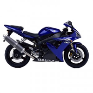 Custom 2002-2003 Yamaha R1 Fairings