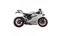 Custom 2011-2014 Ducati 899 Fairings