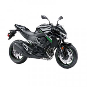 Custom 2013-2018 Kawasaki Z800 Fairings