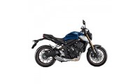 Custom 2019-2022 Honda CB650R Fairings