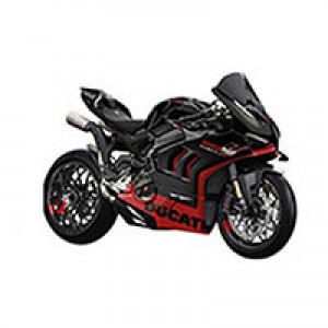 Custom Ducati Panigale V4 V4S Fairings