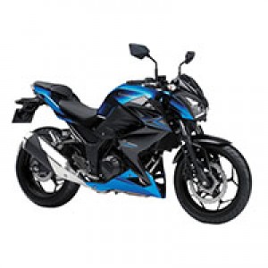 Custom Kawasaki Z250/Z300 Fairings