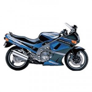 Custom Kawasaki ZZR600 Fairings