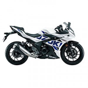 Custom Suzuki GSX250R Fairings