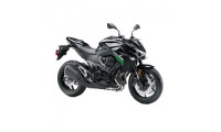 Custom 2013-2016 Kawasaki Ninja Z800 Fairings