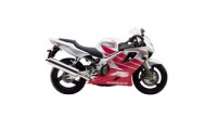 Custom 1999-2000 Honda CBR600 F4 Fairings