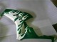 2006-2007 White Green Flame Honda CBR1000RR Motorcycle Fairings