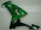 2008-2010 Glossy Black Green Flame Kawasaki ZX10R Motorcycle Fairings
