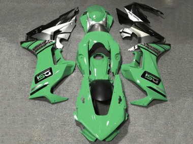 Custom 2017-2023 Honda CBR1000RR Motorcycle Fairings - Light Green White Silver Glossy Black DSI