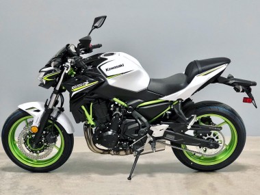 Custom 2020-2023 Kawasaki Ninja Z650 Motorcycle Fairings - White Black Green