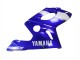 1996-2007 Yamaha YZF600R Thundercat Motorcycle Fairing - Blue White Silver