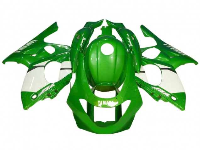1996-2007 Yamaha YZF600R Thundercat Motorcycle Fairing - Green White