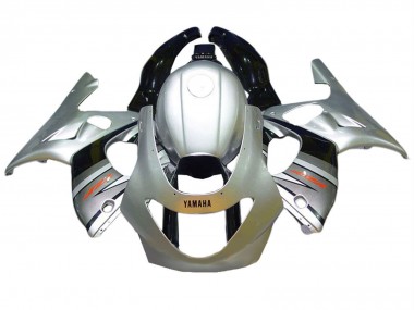 Custom 1996-2007 Yamaha YZF600R Thundercat Motorcycle Fairings - Silver Grey Glossy Black