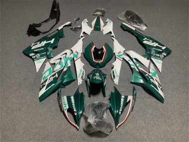 Custom 2017-2018 BMW S1000RR Motorcycle Fairings - White Green