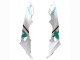 2015-2016 BMW S1000RR Motorcycle Fairings - White Green Black