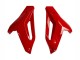 2014-2016 BMW S1000R Motorcycle Fairings - Black Red