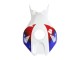 2006-2007 Honda CBR1000RR Motorcycle Fairing - White Red Blue HRC
