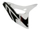2006-2007 Honda CBR1000RR Motorcycle Fairing Kits - White Glossy Black