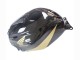 2005-2006 Honda CBR600RR Motorcycle Fairing - Black Gold