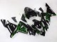 2004-2005 Kawasaki ZX10R Motorcycle Fairings - Black with Green Flame Ninja