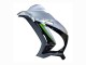 2016-2020 Kawasaki ZX10R Motorcycle Fairing - Silver Green Black