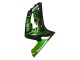 2003-2004 Kawasaki ZX6R Motorcycle Fairings - Glossy Black Green Flame