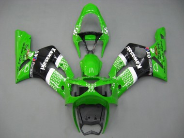 Custom 2003-2004 Kawasaki ZX6R Motorcycle Fairings - Green White Black Elf Bridgestone
