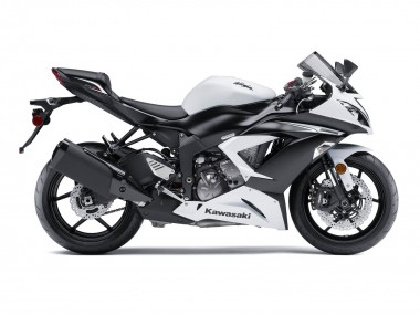 Custom 2009-2012 Kawasaki ZX6R Motorcycle Fairing - White Matte Black
