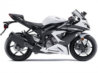 Custom 2013-2018 Kawasaki ZX6R Motorcycle Fairings Kit - White Matte Black