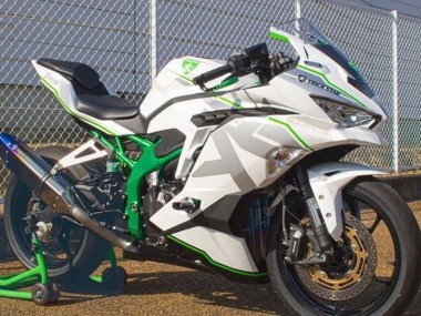 Custom 2019-2025 Kawasaki ZX4R ZX-4RR Motorcycle Fairings - White Silver Green