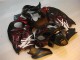 Custom 1996-2007 Black Red Flame Suzuki GSXR 1300 Hayabusa Motorbike Fairing Custom 1996-2007 Black Red Flame Suzuki GSXR 1300 Hayabusa Motorbike Fairing