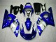 Custom 1998-2002 Blue Yamaha YZF R6 Motorcycle Fairing Kits Custom 1998-2002 Blue Yamaha YZF R6 Motorcycle Fairing Kits