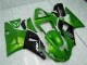 Custom 2000-2001 Green Yamaha YZF R1 Motorcyle Fairings Custom 2000-2001 Green Yamaha YZF R1 Motorcyle Fairings