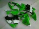 Custom 2000-2002 Green Black Kawasaki ZX6R Motorbike Fairing Custom 2000-2002 Green Black Kawasaki ZX6R Motorbike Fairing