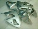Custom 2000-2002 Silver Kawasaki ZX6R Replacement Fairings Custom 2000-2002 Silver Kawasaki ZX6R Replacement Fairings