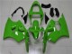 Custom 2000-2002 Green Kawasaki ZX6R Motorbike Fairing Custom 2000-2002 Green Kawasaki ZX6R Motorbike Fairing