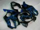 Custom 2001-2003 Blue Flames Honda CBR600 F4i Bike Fairings Custom 2001-2003 Blue Flames Honda CBR600 F4i Bike Fairings