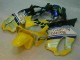Custom 2001-2003 Yellow Silver Nastro Azzurro Honda CBR600 F4i Motorcylce Fairings Custom 2001-2003 Yellow Silver Nastro Azzurro Honda CBR600 F4i Motorcylce Fairings