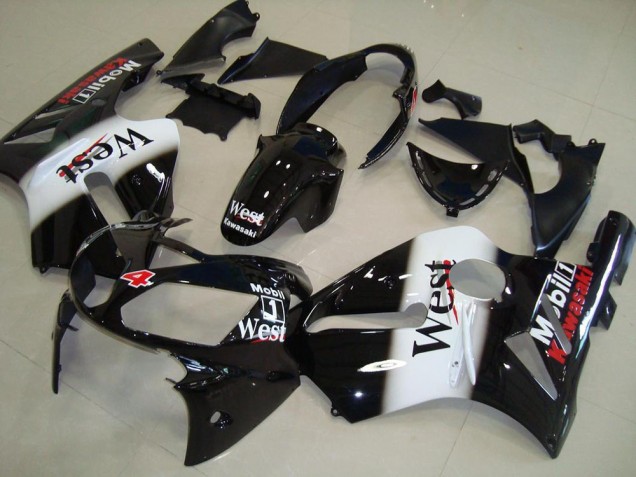 Custom 2002-2006 West Kawasaki ZX12R Motor Fairings Custom 2002-2006 West Kawasaki ZX12R Motor Fairings