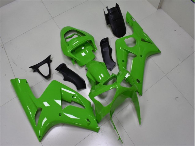 Custom 2003-2004 Green Kawasaki ZX6R Replacement Fairings Custom 2003-2004 Green Kawasaki ZX6R Replacement Fairings