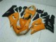 Custom 2005-2006 Orange Kawasaki ZX6R Bike Fairing Custom 2005-2006 Orange Kawasaki ZX6R Bike Fairing