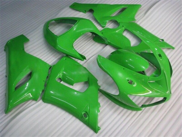 Custom 2005-2006 Green Kawasaki ZX6R Replacement Fairings Custom 2005-2006 Green Kawasaki ZX6R Replacement Fairings