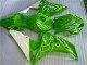 Custom 2006-2007 Green Honda CBR1000RR Motorbike Fairings